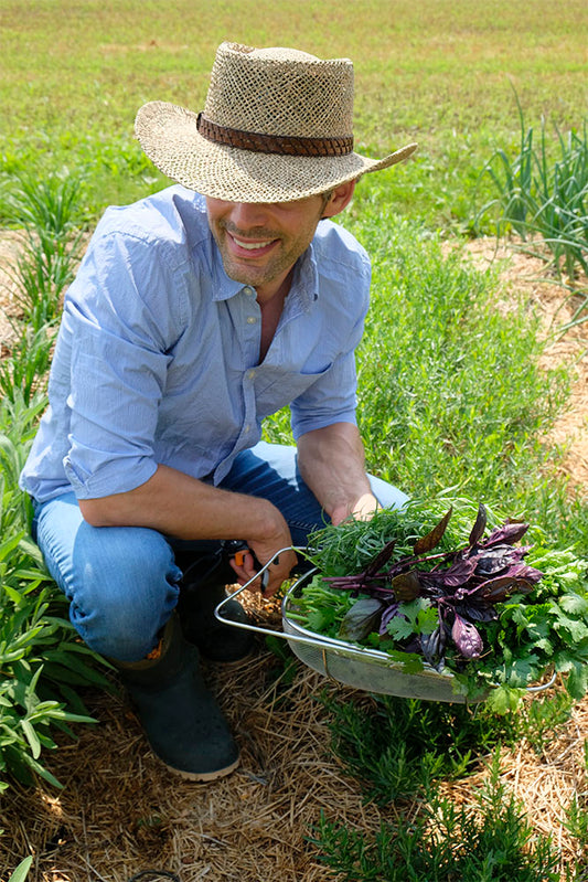 ORGANIC CULINARY HERBS